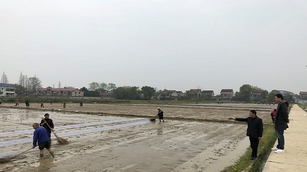 新桥河人口_合肥新桥机场图片