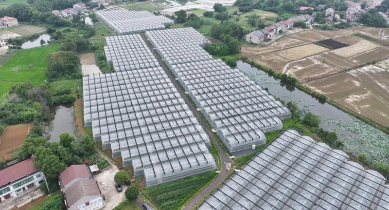 ��ʵ������ȫ�淢����Ϊ������д��ʱ���߱�׼�ġ�ɽ��ޱ䡱������������������������ί��Ǹ�����