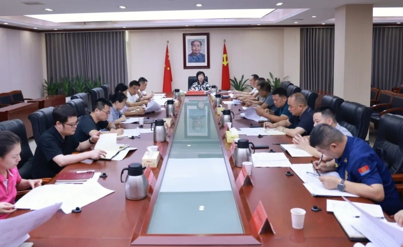 林红华主持召开项目谋划推进会