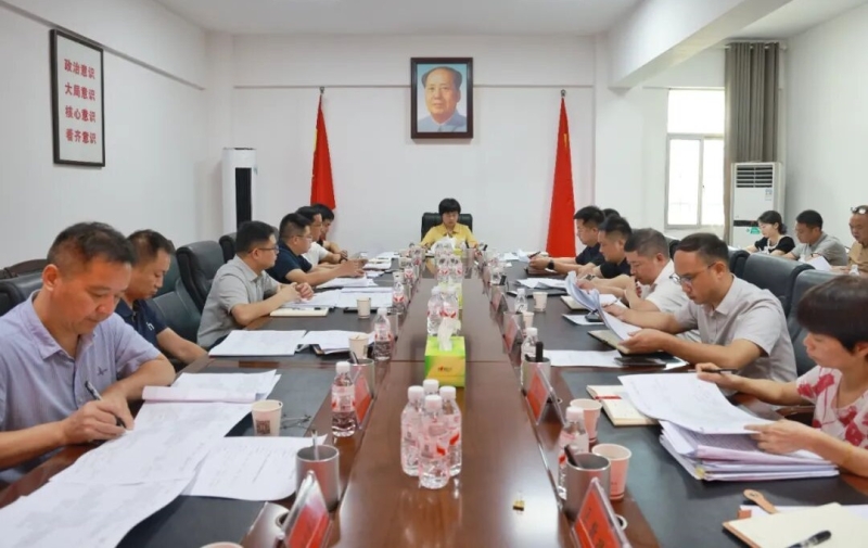 林红华主持召开园区工作推进会