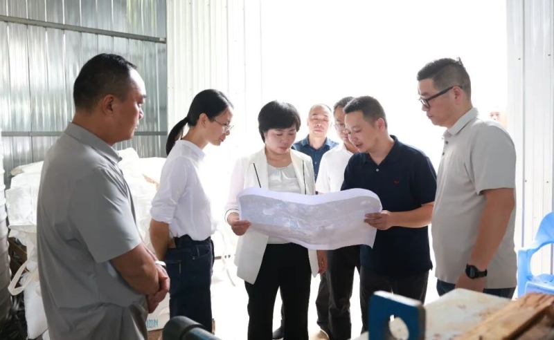 林红华督导突出生态环境问题整改工作
